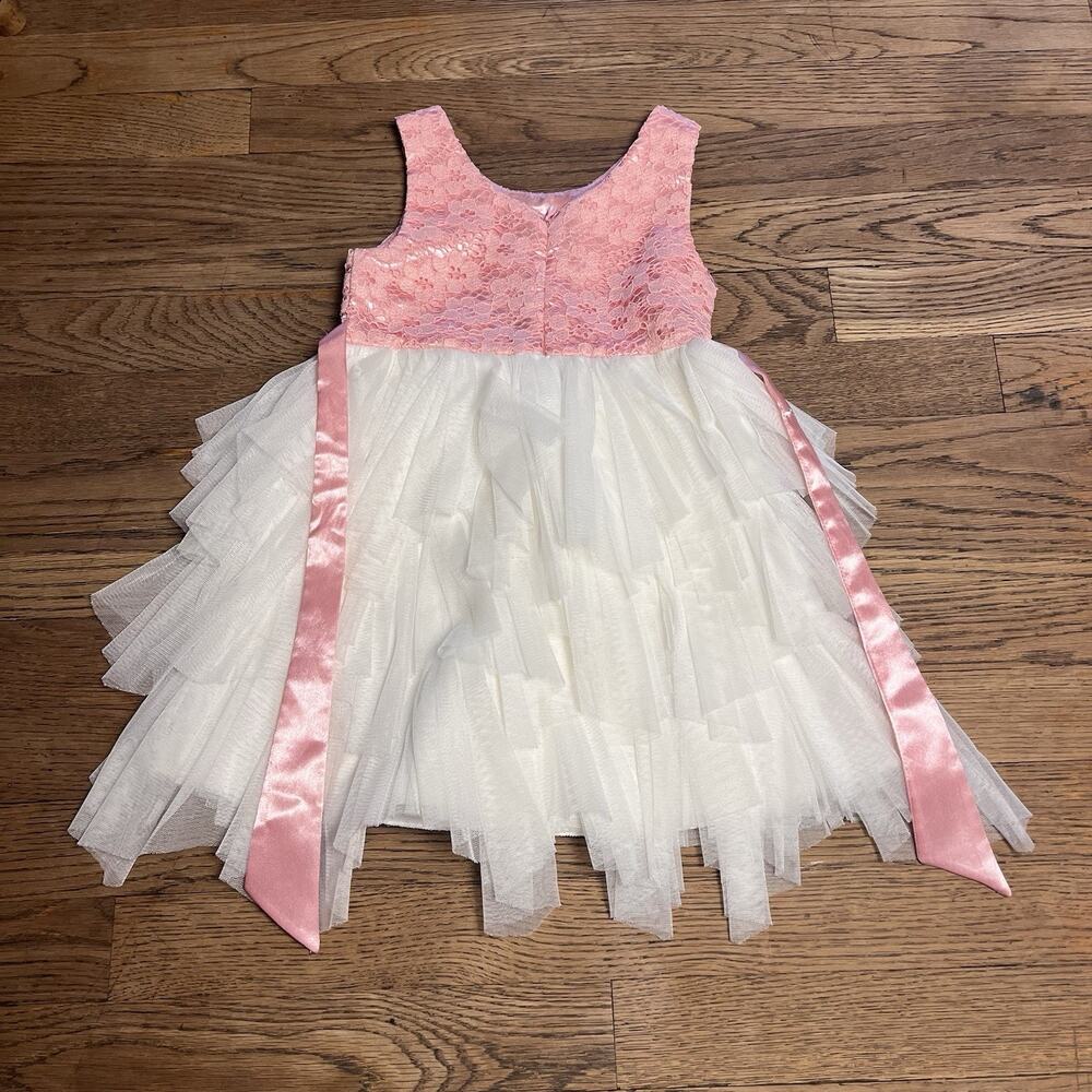 Size 3T Baby Girl Pink White Tulle Dress Jewel Belt Rose Party American Princess - Picture 8 of 16